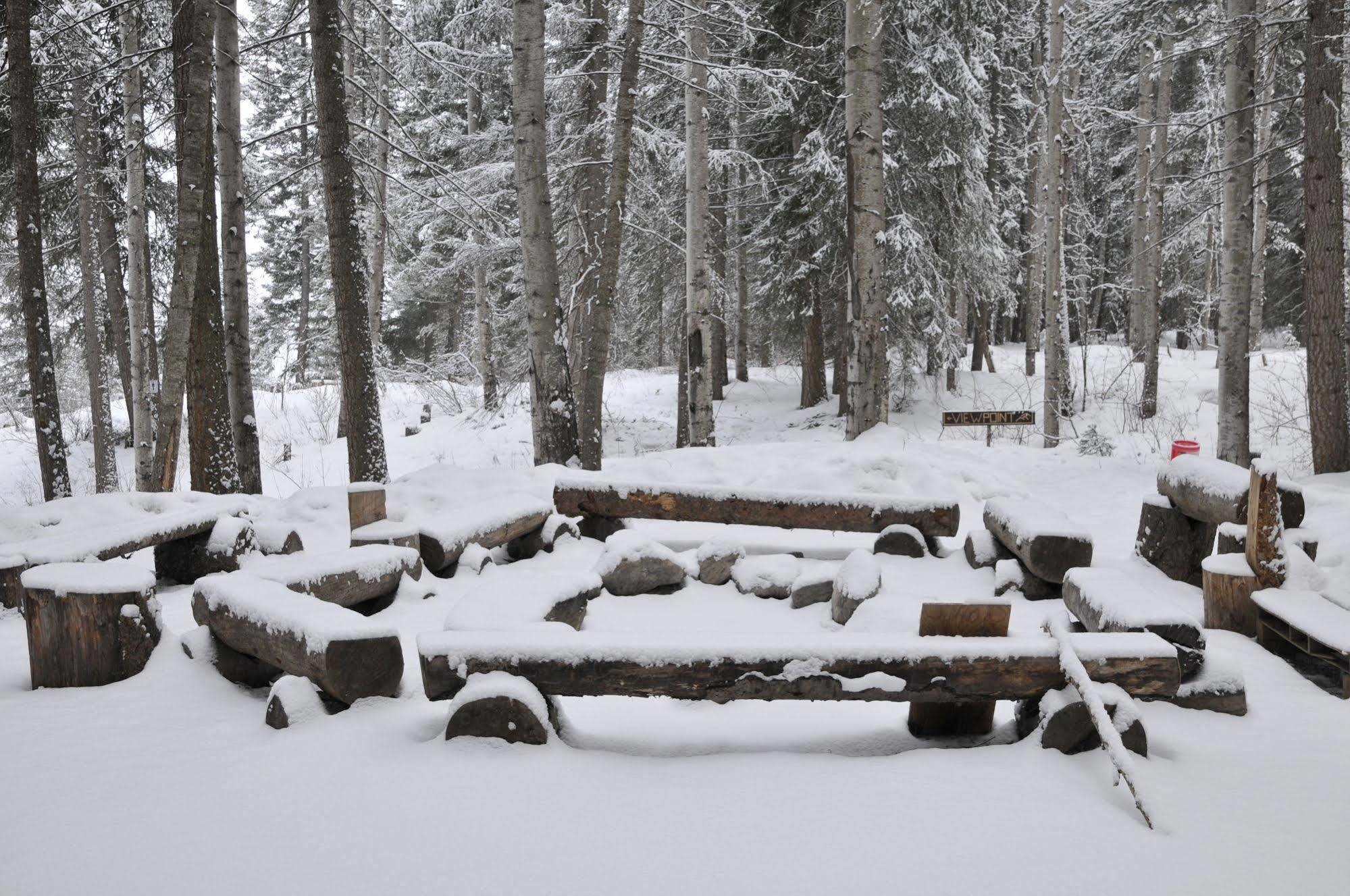فيلا غولدنفي Mountain View Cabins المظهر الخارجي الصورة