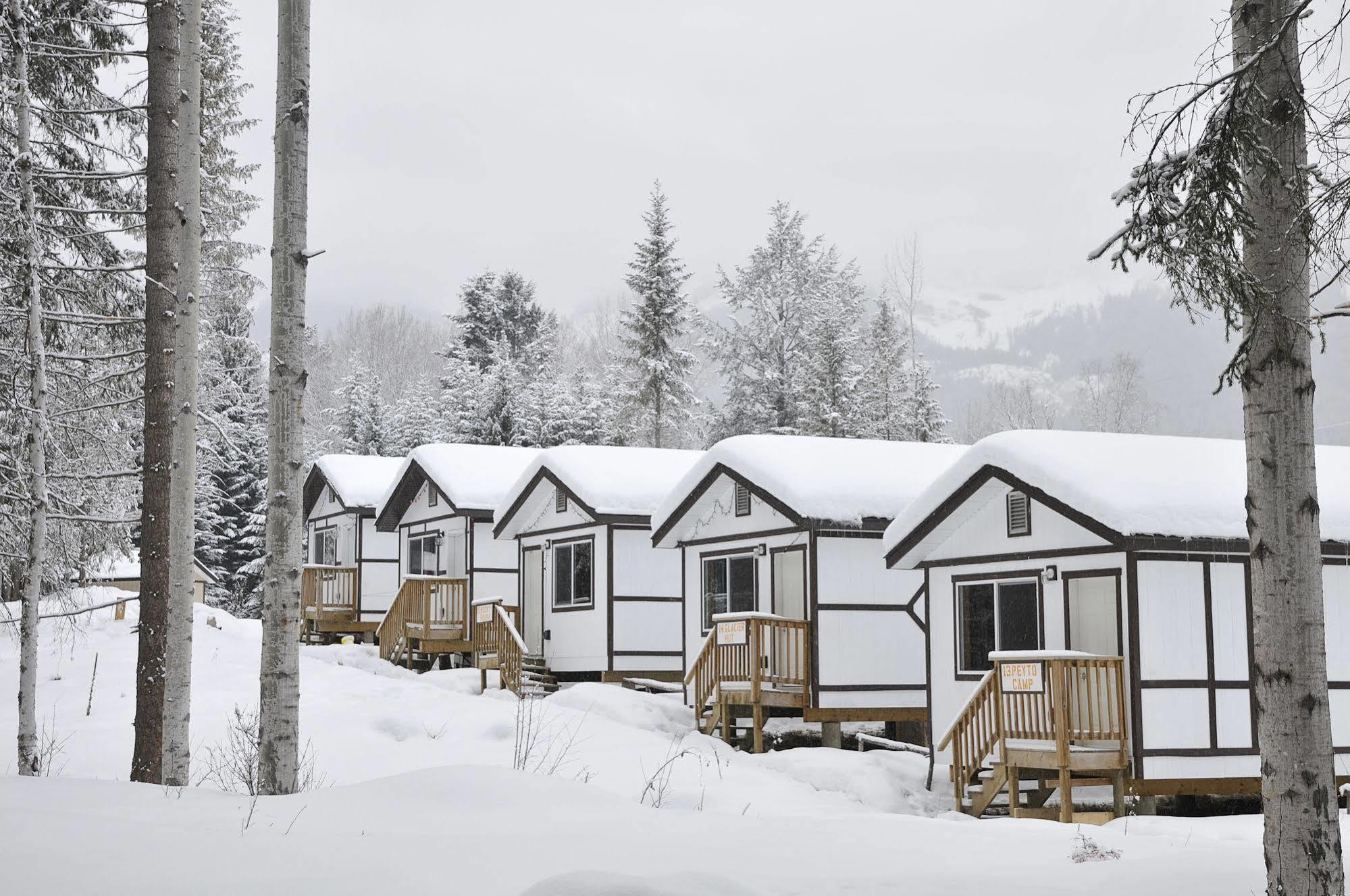 فيلا غولدنفي Mountain View Cabins المظهر الخارجي الصورة